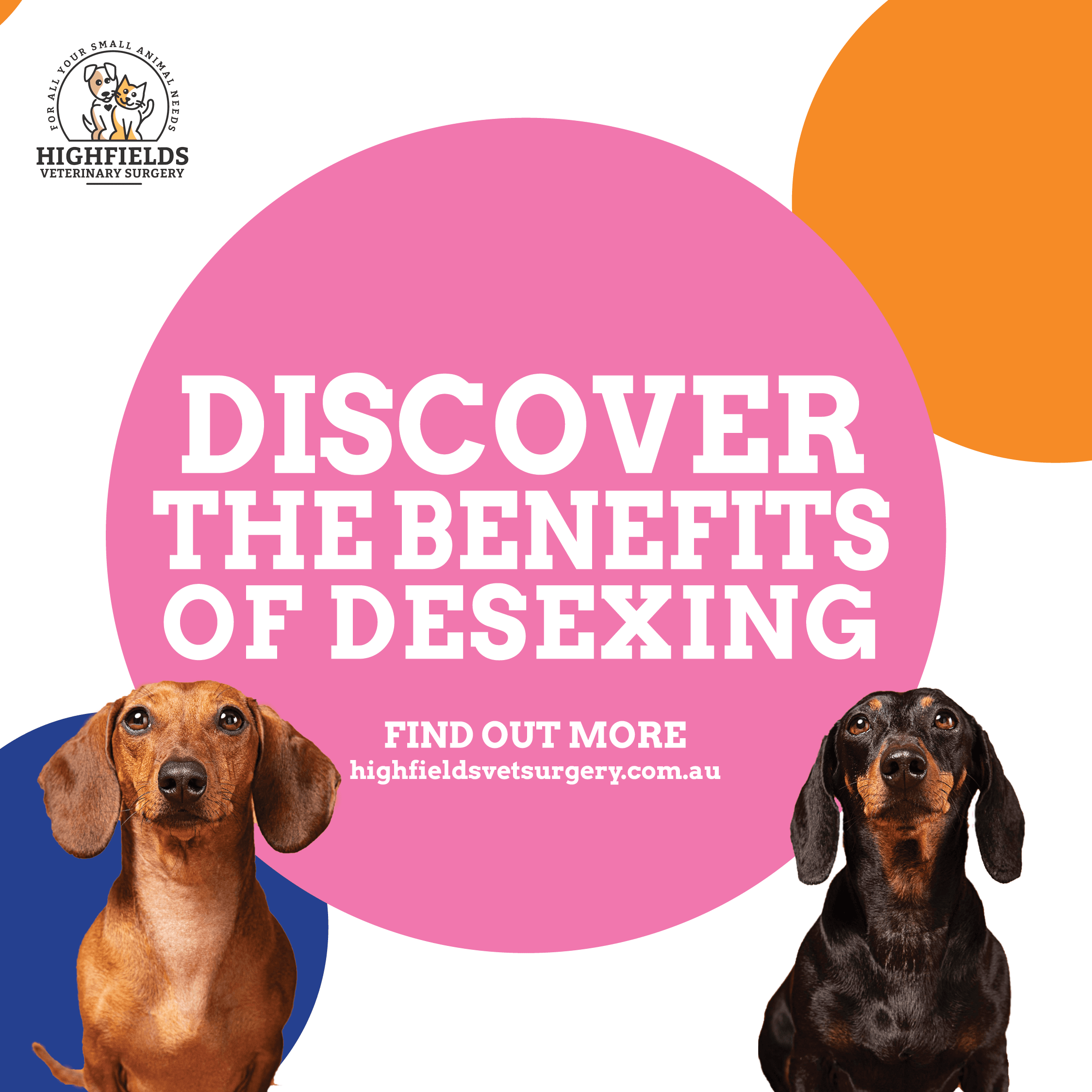 Benefits of Desexing Your Dog Benefits of Desexing Your Dog